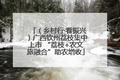 （乡村行·看振兴）广西钦州荔枝集中上市 “荔枝+农文旅融合”助农增收
