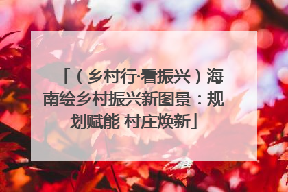 （乡村行·看振兴）海南绘乡村振兴新图景：规划赋能 村庄焕新