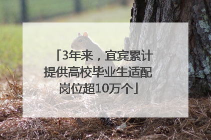 3年来，宜宾累计提供高校毕业生适配岗位超10万个