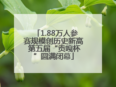 1.88万人参赛规模创历史新高 第五届“贡嘎杯”圆满闭幕