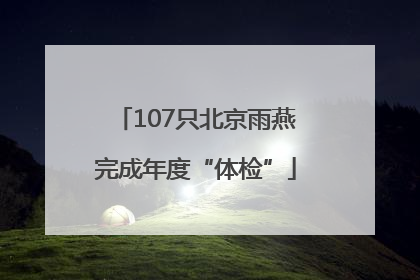 107只北京雨燕完成年度“体检”