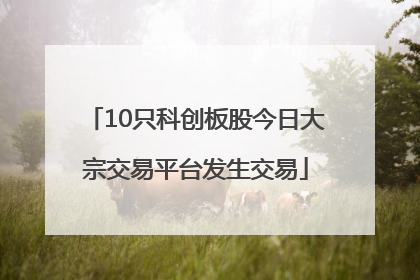 10只科创板股今日大宗交易平台发生交易