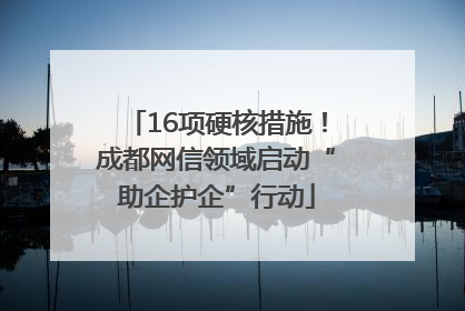 16项硬核措施！成都网信领域启动“助企护企”行动