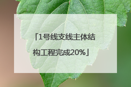 1号线支线主体结构工程完成20%
