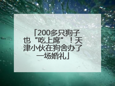 200多只狗子也“吃上席”！天津小伙在狗舍办了一场婚礼