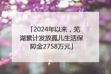 2024年以来，芜湖累计发放孤儿生活保障金2758万元
