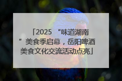 2025 “味道湖南”美食季启幕，岳阳啤酒美食文化交流活动点亮