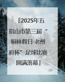 2025年五指山市第三届“桐林假日·老州府杯”足球比赛圆满落幕