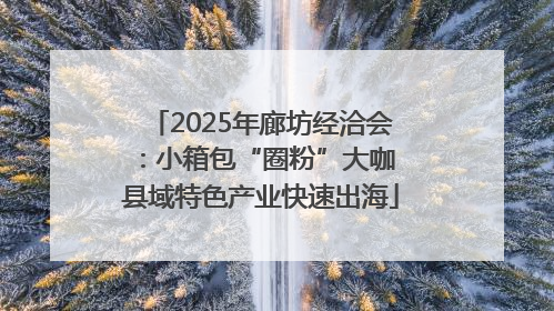 2025年廊坊经洽会：小箱包“圈粉”大咖 县域特色产业快速出海