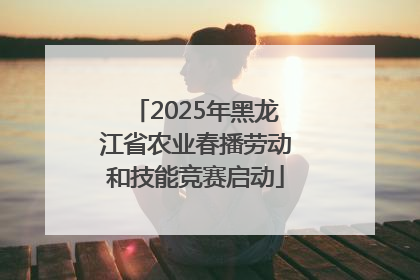 2025年黑龙江省农业春播劳动和技能竞赛启动