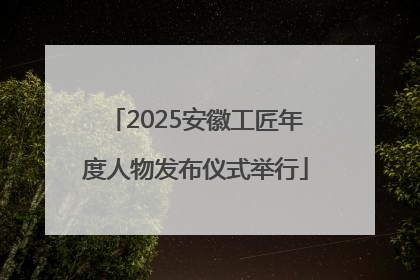 2025安徽工匠年度人物发布仪式举行