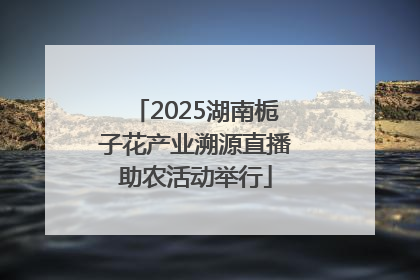 2025湖南栀子花产业溯源直播助农活动举行