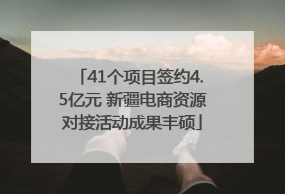 41个项目签约4.5亿元 新疆电商资源对接活动成果丰硕