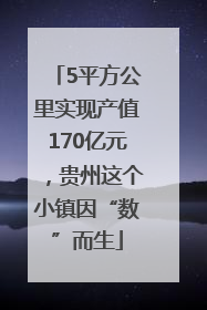 5平方公里实现产值170亿元，贵州这个小镇因“数”而生