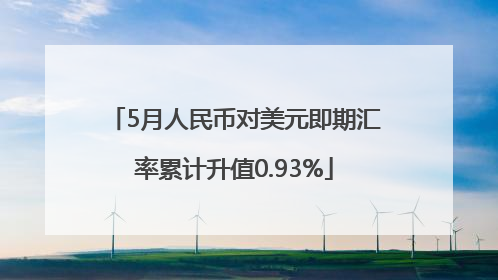 5月人民币对美元即期汇率累计升值0.93%