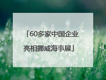 60多家中国企业亮相挪威海事展