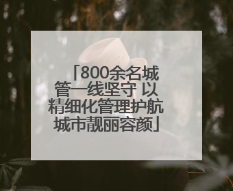 800余名城管一线坚守 以精细化管理护航城市靓丽容颜
