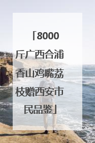 8000斤广西合浦香山鸡嘴荔枝赠西安市民品鉴