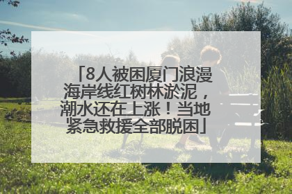 8人被困厦门浪漫海岸线红树林淤泥，潮水还在上涨！当地紧急救援全部脱困
