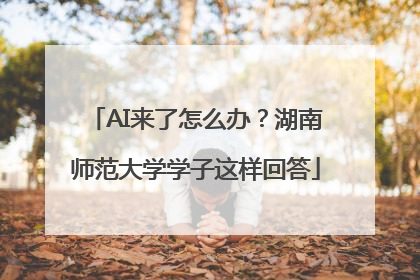 AI来了怎么办？湖南师范大学学子这样回答