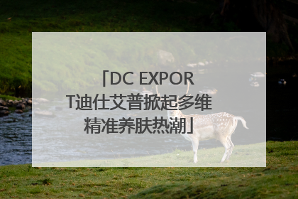 DC EXPORT迪仕艾普掀起多维精准养肤热潮
