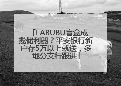 LABUBU盲盒成揽储利器？平安银行新户存5万以上就送，多地分支行跟进