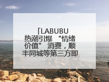 LABUBU 热潮引爆 “情绪价值” 消费，顺丰同城等第三方即配乘风而起