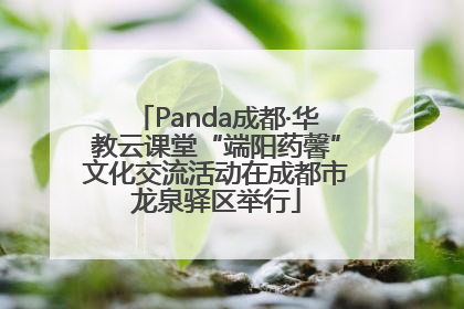 Panda成都·华教云课堂“端阳药馨”文化交流活动在成都市龙泉驿区举行