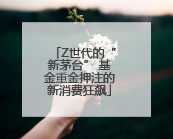 Z世代的“新茅台” 基金重金押注的新消费狂飙